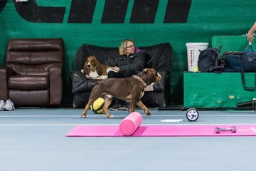 Training am 22.12.17 46 - Carina beim Training